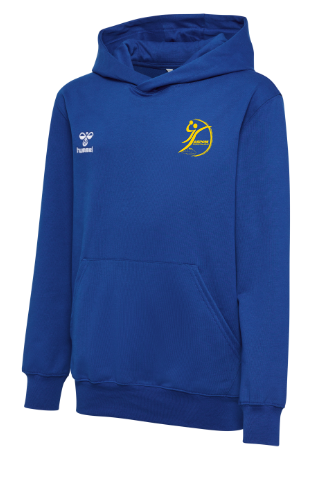 Sweat à capuche hmlgo 2.0